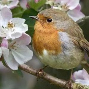 Meet your Posher, Kara